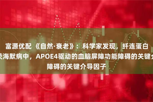 富源优配 《自然·衰老》：科学家发现，纤连蛋白是阿尔茨海默病中，APOE4驱动的血脑屏障功能障碍的关键介导因子