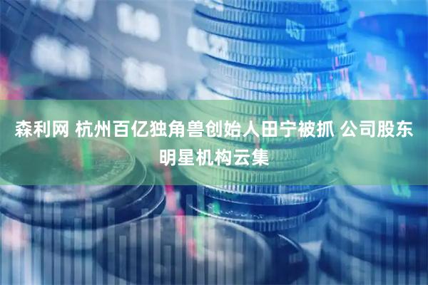 森利网 杭州百亿独角兽创始人田宁被抓 公司股东明星机构云集
