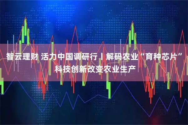 智云理财 活力中国调研行丨解码农业“育种芯片” 科技创新改变农业生产